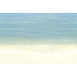 Декор 200х300 ДК Mauritius D7 D138 D7